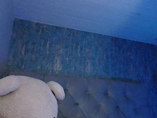 AnnaliOlsenX on BongaCams