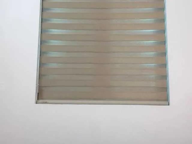 Selena295 on BongaCams