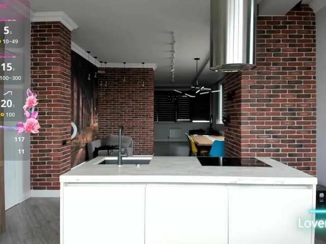 synopsiss on BongaCams