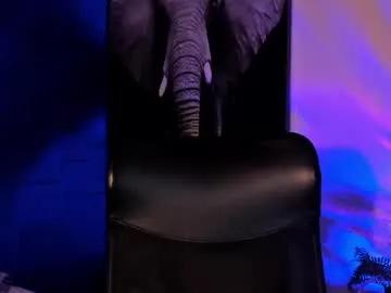 noah_brigth's avatar