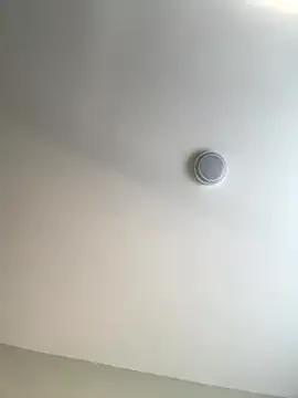 Fanclubbbbb's avatar